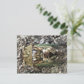 Cicada Postkarte (Stehend Vorderseite)