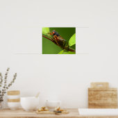 Cicada Print Poster (Küche)