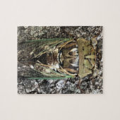 Cicada Puzzle (Horizontal)