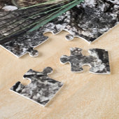 Cicada Puzzle (Seite)