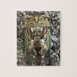 Cicada Puzzle