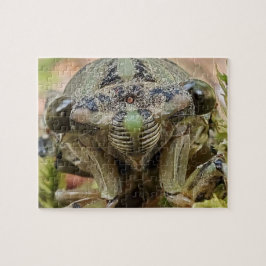 Cicada-Puzzle Puzzle
