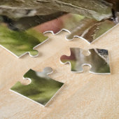 Cicada-Puzzle Puzzle (Seite)