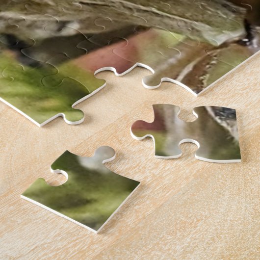 Cicada-Puzzle Puzzle (Seite)