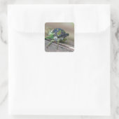 Cicada Quadratischer Aufkleber (Tasche)