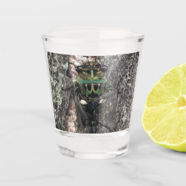 Cicada Shot Glass Schnapsglas