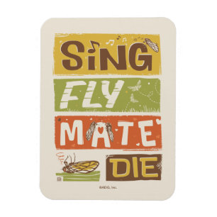 Cicada Sing Fly Mate Die Magnet