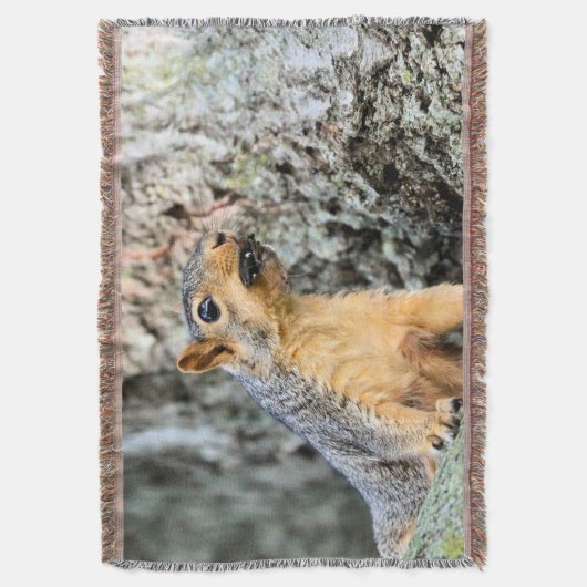 Cicada Snackbar Decke (Vorderseite Vertikal)