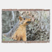 Cicada Snackbar Decke (Vorderseite)