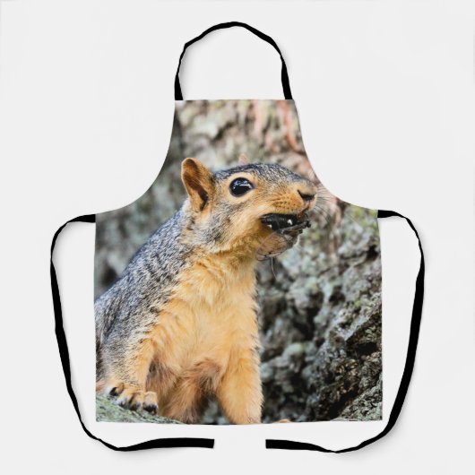 Cicada Snacker Schürze (Vorderseite)