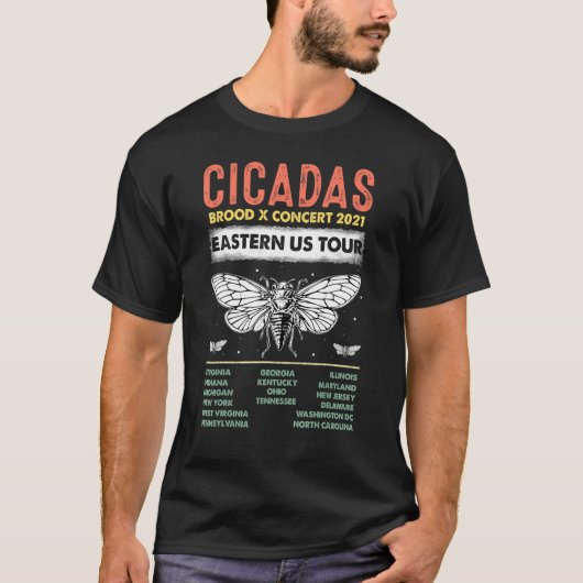 Cicada Summer Brood X Magicicada 2021 USA T-Shirt (Vorderseite)