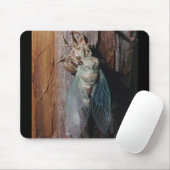Cicada trocknet seine Flügel Mousepad (Mit Mouse)
