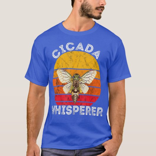 Cicada Whisperer Brood Insekt Retro Sonnenuntergan T-Shirt (Vorderseite)