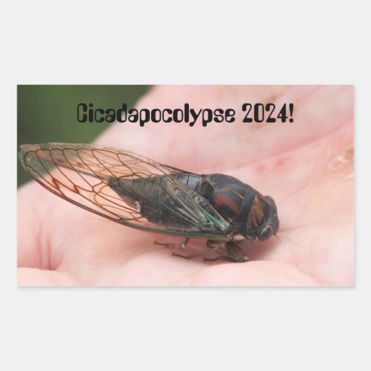 Cicadapocolypse 2024 rechteckiger aufkleber (Vorderseite)