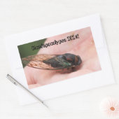 Cicadapocolypse 2024 rechteckiger aufkleber (Umschlag)