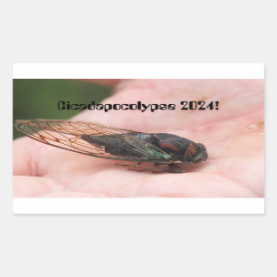 Cicadapocolypse 2024 rechteckiger aufkleber