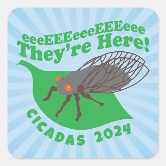 Cicadas 2024 Sie sind hier Quadratischer Aufkleber (Vorderseite)