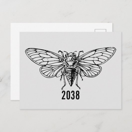 Cicadas 2038 postkarte (Vorne/Hinten)