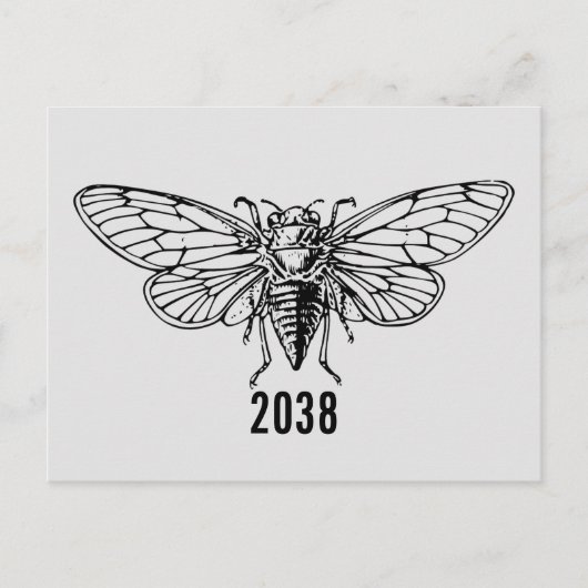 Cicadas 2038 postkarte (Vorderseite)