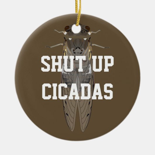 Cicadas beenden keramik ornament (Vorne)