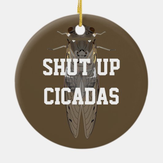 Cicadas beenden keramik ornament (Hinten)