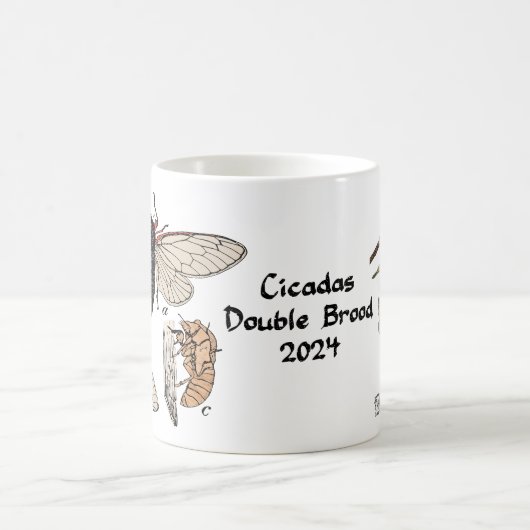 Cicadas Double Brood 2024 Tasse (Mittel)