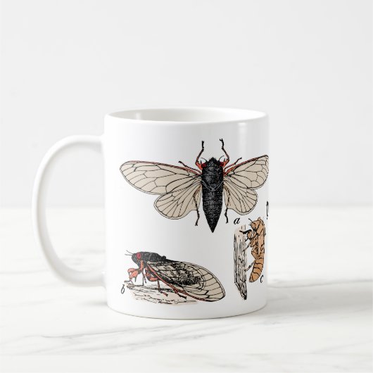 Cicadas Double Brood 2024 Tasse (Links)