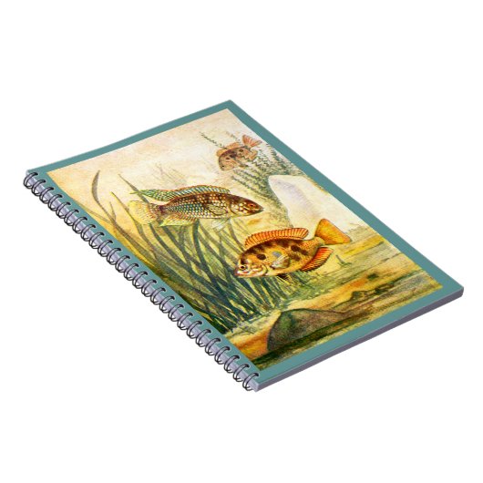 Cichlid-Fische Notizblock (Rechte Seite)