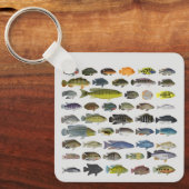 Cichlid Fish GroupKeychain Schlüsselanhänger (Vorderseite)