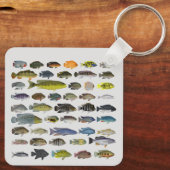 Cichlid Fish GroupKeychain Schlüsselanhänger (Rückseite)