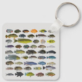 Cichlid Fish GroupKeychain Schlüsselanhänger (Rückseite)