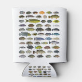Cichlid Group Poster Dosenkühler (Rückseite)