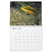 Cichlids von Mexiko Kalender (Feb 2026)