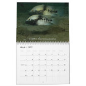 Cichlids von Mexiko Kalender (Mär 2027)