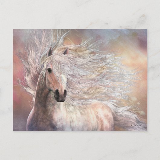 Cielo Postcard Postkarte (Vorderseite)