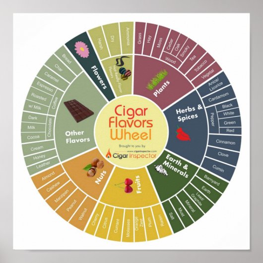 Cigar Flavors Wheel Poster (Vorne)