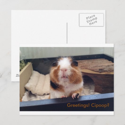 Cigar gekackt Postkarte (Vorne/Hinten)