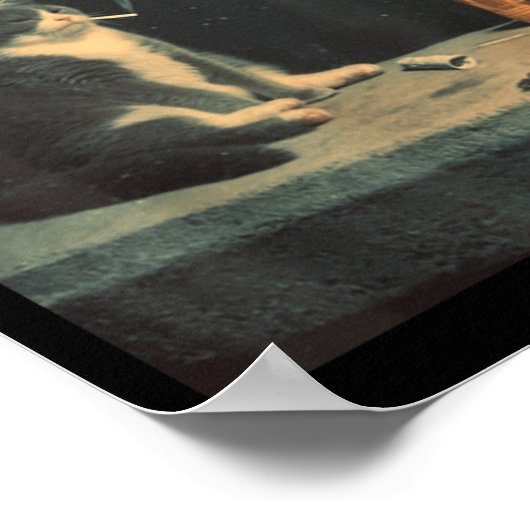 Cigarette Kitten Funny Smoking Cat Meme Stud Gehir Poster (Ecke)