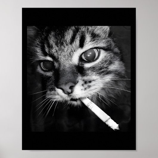 Cigarette Kitten Funny Smoking Cat Meme Stud Gehir Poster (Vorne)