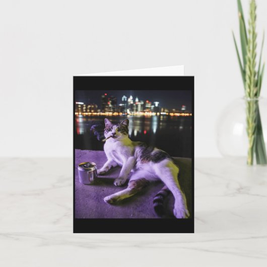 Cigarette Kitten Funny Smoking Cat Meme Stupid Bra Karte (Vorderseite)