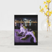 Cigarette Kitten Funny Smoking Cat Meme Stupid Bra Karte (Gelbe Blume)