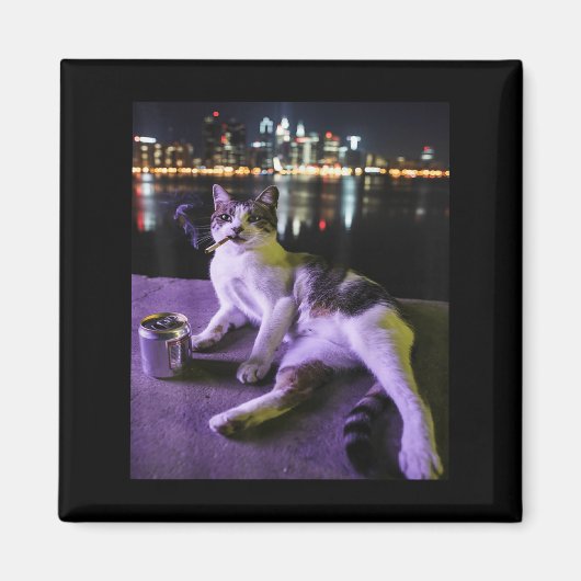 Cigarette Kitten Funny Smoking Cat Meme Stupid Bra Magnet (Vorne)