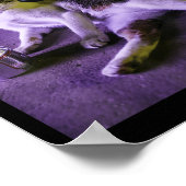 Cigarette Kitten Funny Smoking Cat Meme Stupid Bra Poster (Ecke)