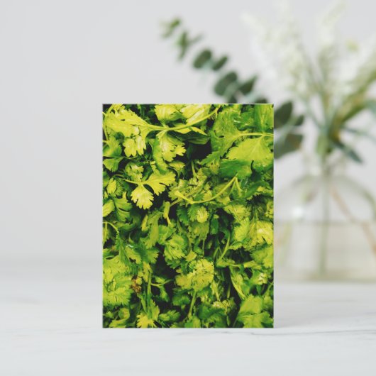 Cilantro/Coriander-Blätter Postkarte (Stehend Vorderseite)