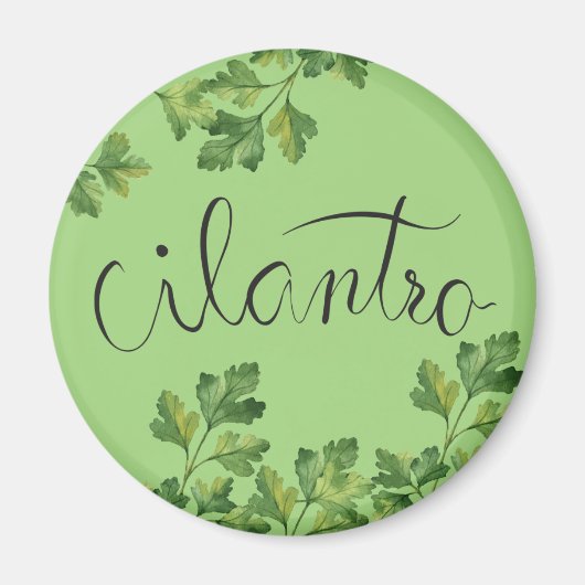 Cilantro-Gewürz Magnet (Vorne)
