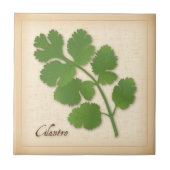 Cilantro Herb Fliese (Vorderseite)