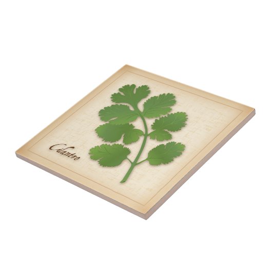 Cilantro Herb Fliese (Seite)