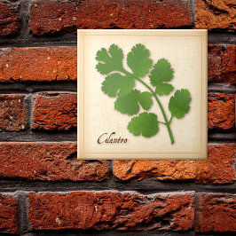 Cilantro Herb Fliese