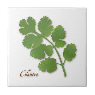 Cilantro Herb Keramik Tile Fliese