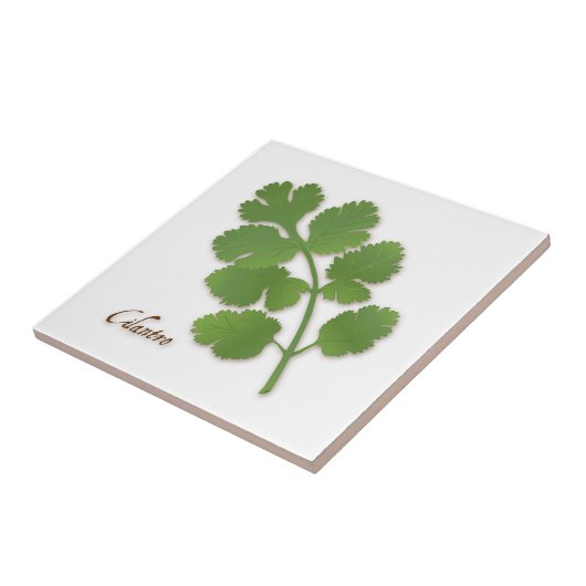 Cilantro Herb Keramik Tile Fliese (Seite)